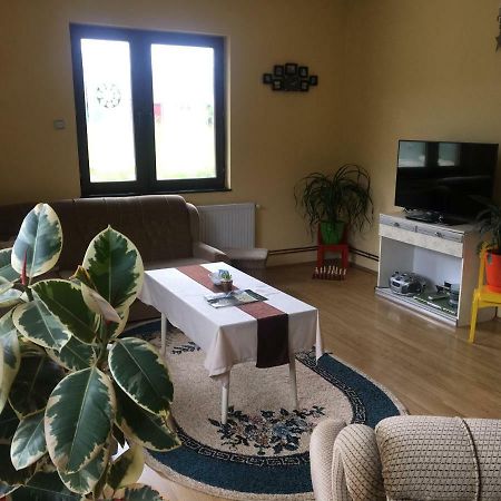 Zvezdica Apartment Bajina Basta Luaran gambar