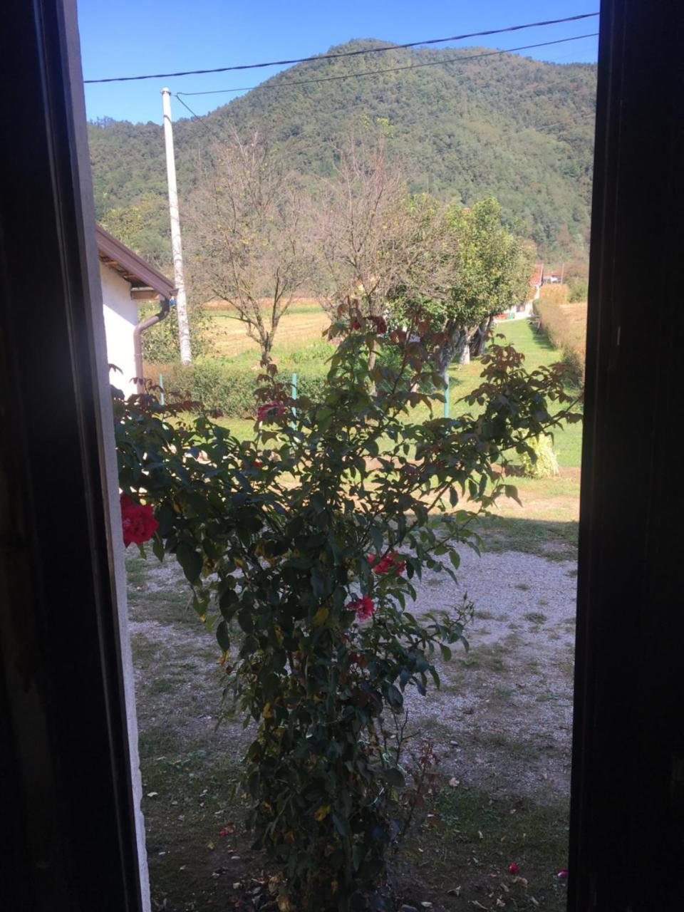 Zvezdica Apartment Bajina Basta Luaran gambar