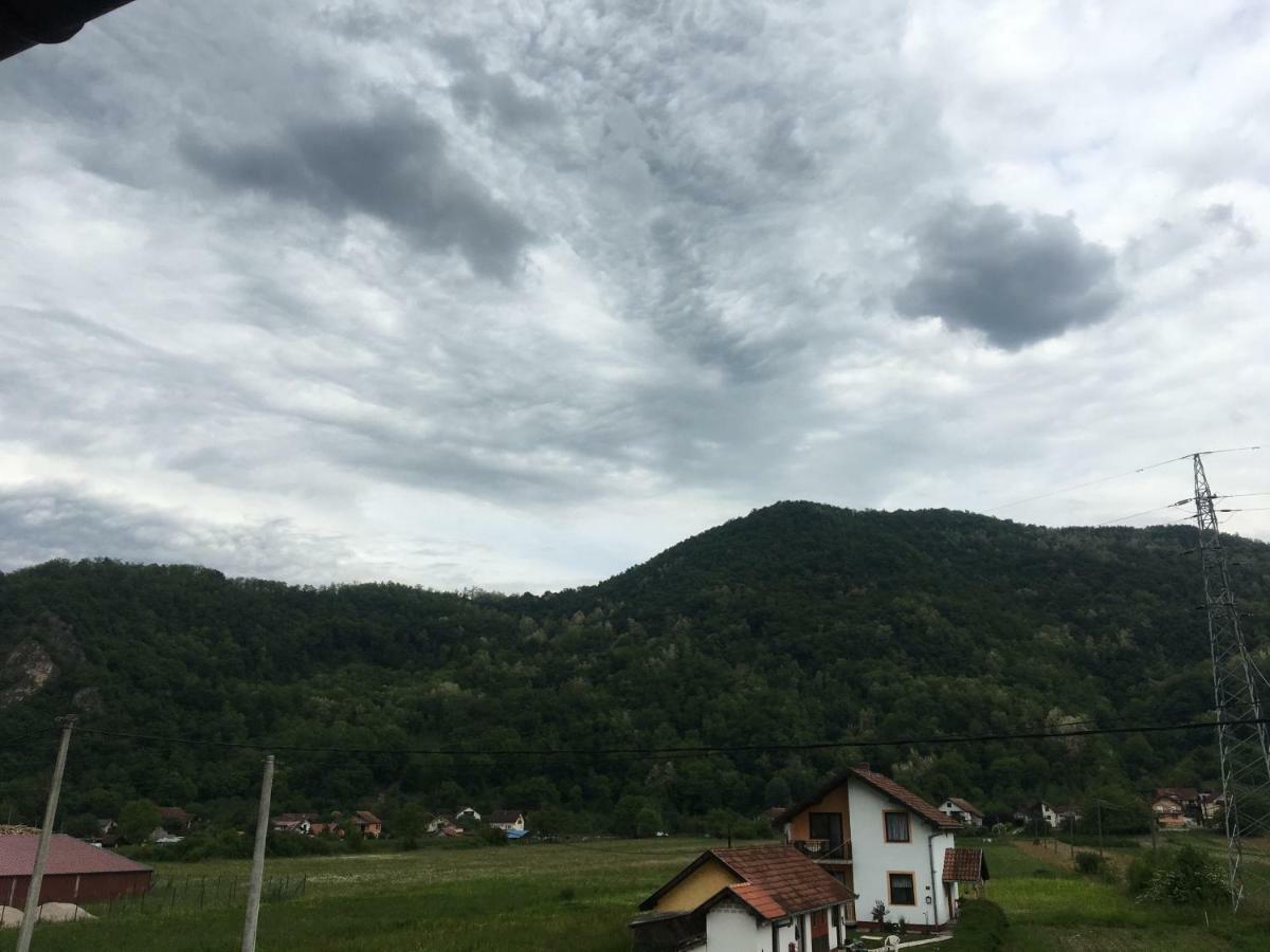 Zvezdica Apartment Bajina Basta Luaran gambar