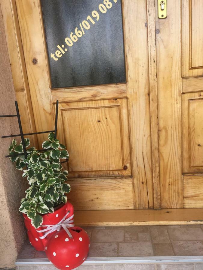 Zvezdica Apartment Bajina Basta Luaran gambar
